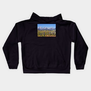 Summer came to Grand Teton Kids Hoodie